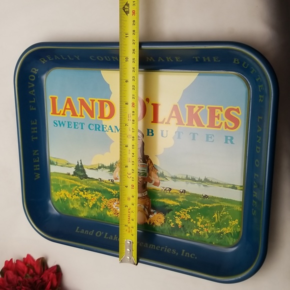 Land O' Lakes Butter Metal Tray - Picture 7 of 16